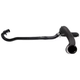 Chr0659 Crp