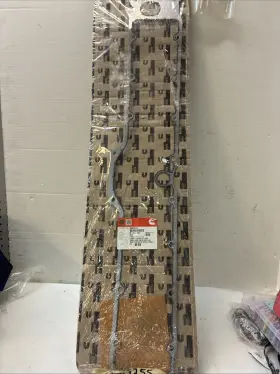 3689755 Cummins Gasket