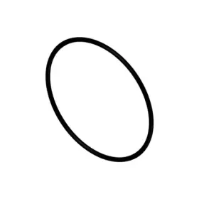 3899283 Cummins Seal Ring / Washer For