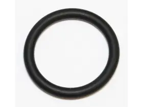 Wht006124 Elring Klinger O-ring Volkswagen Beetle Passat Tiguan Audi A3 Porsche