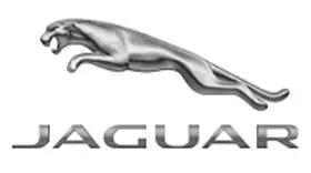 Jaguar 103123511 Genuine Engine Oil Cooler
