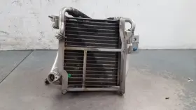 2125001531 Mercedes Amg 2011 Benz E 63 Auxiliary Oil Cooler #4899