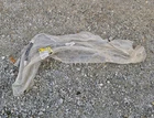 Gm 15767597 Automatic Transmission Oil Cooler Hose Line Assembly Silverado +more New. Price: $99.95.