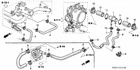Genuine Acura Hose Oil Cooler Outlet 19423-PRB-A00 New. Price: $23.90.