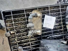 Transmission Oil Cooler Oem 2013 Volkswagen Jetta 1YR Wrnty 02E 409 061 B Used. Price: $111.00.