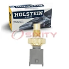 Holstein 2CTS0219 Engine Oil Temperature Sensor For WT7252 TS603 SW6052 Lu New. Price: $16.23.