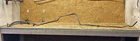 2003 Porsche Boxster 986 Rwd Power Steering Pressure Hose Lines 99634745113 Used. Price: $299.00.
