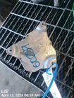 Transmission Oil Cooler Oem 2019 Infiniti QX50 1YR Wrnty Used. Price: $100.00.