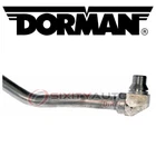 Dorman 625-129 Engine Oil Cooler Hose Assembly For 5801097 15096844 Belts He New. Price: $101.63.
