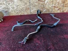 Bmw F22 F30 F32 Engine Oil Cooling Line Inlet & Outlet Cooler Pipe Oem 101K Used. Price: $159.99.