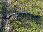 21-23 Toyota Mirai Xle Engine Oil Cooler Hose Oem Used. Price: $200.00.