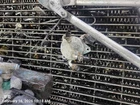 Transmission Oil Cooler Oem 2013 Honda Civic 1YR Wrnty Used. Price: $100.00.