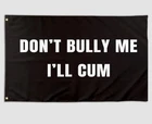 Funny Flag Don't Bully Cool Meme Banner 3X5 Ft New. Price: $18.75.